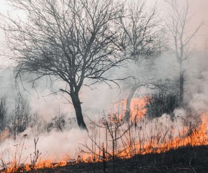 Campagna antincendio boschivo 2025 Campagna antincendio boschivo 2025